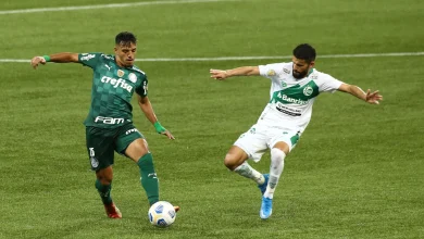 Juventude vs Palmeiras Prediction: Send Condolences To Juventude