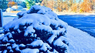 Kalamazoo's Week Features Snow Showers And Rain, With Temperatures Rising