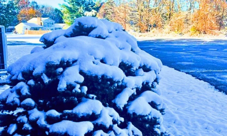 Kalamazoo's Week Features Snow Showers And Rain, With Temperatures Rising