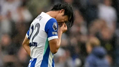 Kaoru Mitoma Injury Update Live Tracker