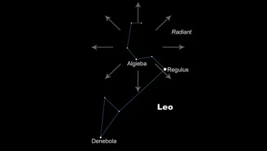 Keep your eyes on the sky for the Leonid meteor shower