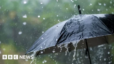 Kent and Surrey weather warning for rain issued by Met Office