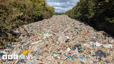 Kidlington fly-tipping: Criminals dump mountain of waste in field
