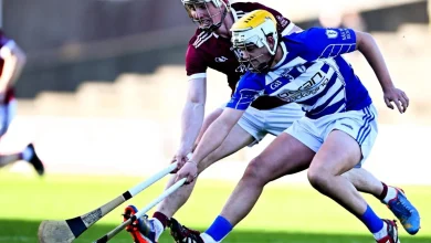 Kildare's Naas no match for St Martin's in Leinster club semi-final