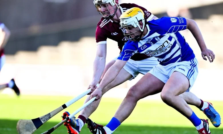 Kildare's Naas no match for St Martin's in Leinster club semi-final