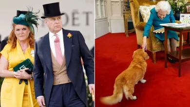 King Charles Preparing to Reclaim Queen Elizabeth’s Corgis from Prince Andrew