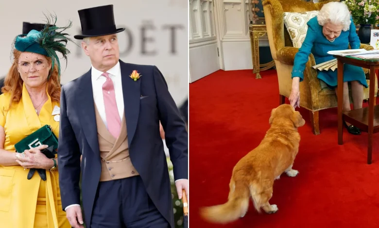 King Charles Preparing to Reclaim Queen Elizabeth’s Corgis from Prince Andrew