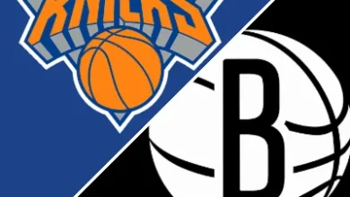 Knicks 113-100 Nets (25 Nov, 2025) Game Recap