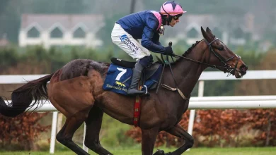 Kopek De Bordes 7/4 favourite for Arkle at Cheltenham after winning at Navan