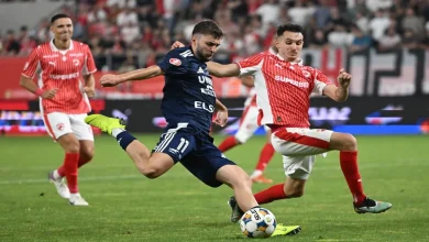 LIVE FC Botoșani - Dinamo, meci de podium în Superliga