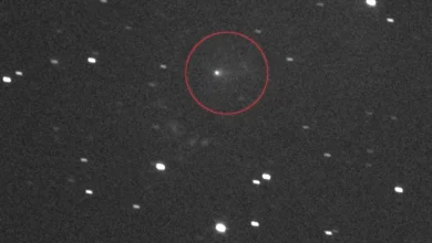 La comète qui fascine les scientifiques… et affole les réseaux