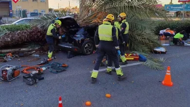 La tragedia familiar del joven fallecido en accidente al caerle una palmera