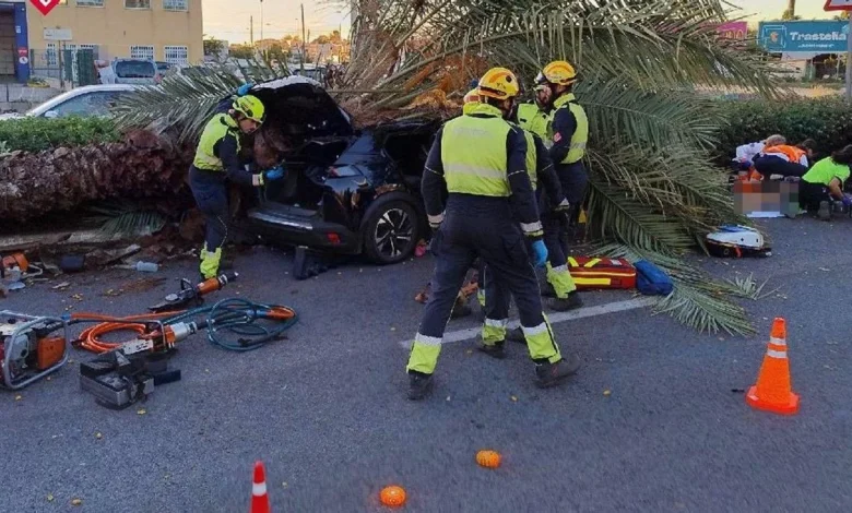 La tragedia familiar del joven fallecido en accidente al caerle una palmera