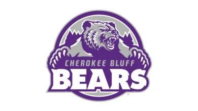 Lady Bears on the Road to a State Championship