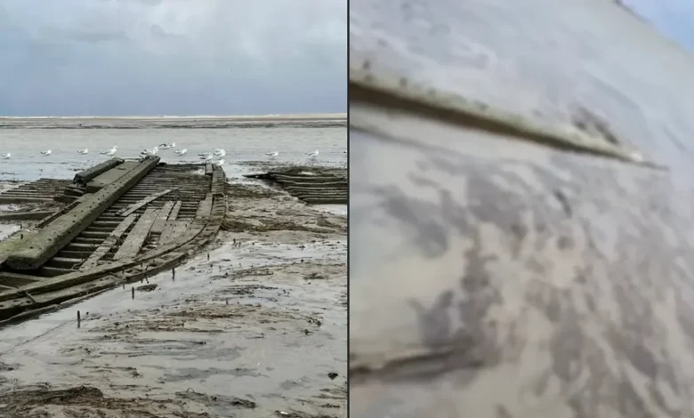 Lake Erie's displaced water uncovers shipwreck likely from 1800s, historians say