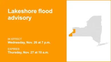 Lakeshore Flood Advisory Issued for Northern Erie, Southern Erie, and Chautauqua County