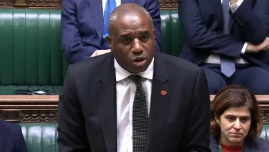 Lammy won't say if other 'asylum seeker offenders' have been mistakenly freed