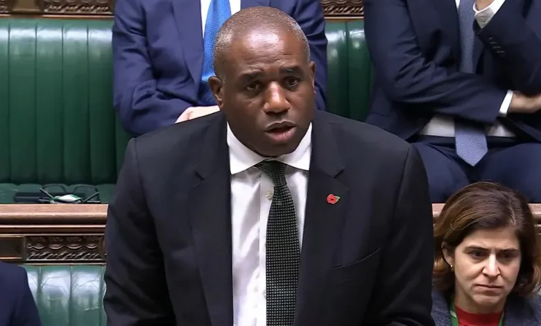 Lammy won't say if other 'asylum seeker offenders' have been mistakenly freed