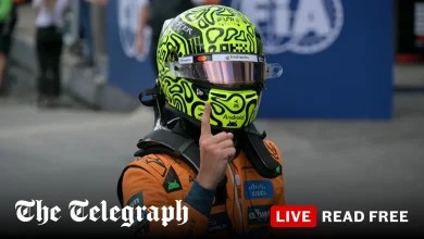 Lando Norris takes Brazil GP pole with Oscar Piastri fourth