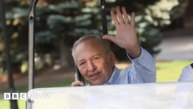 Larry Summers to step back from public after Epstein emails emerge