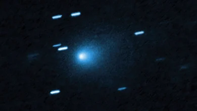Latest science news: Comet 3I/ATLAS reappears | 1.5 C climate breach | Falling into a black hole