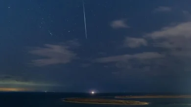 Leonid meteor shower: How and when to view the peak