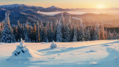 Les premiers flocons arrivent en France, mais tous les sommets ne seront pas gâtés : qui en bénéficiera ?
