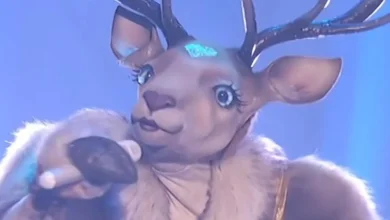 Les téléspectateurs sont persuadés d’avoir deviné qui se cache dans le costume de Cari-belle