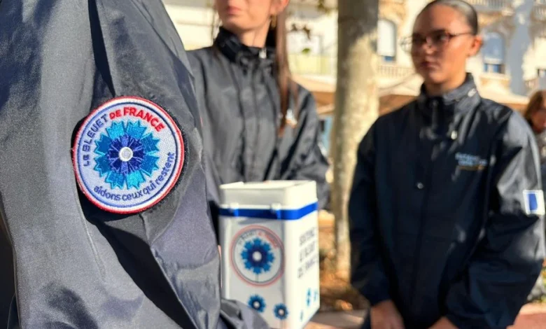 "L'esprit d'équipe, c'est vraiment le plus important". 11 novembre et devoir de mémoire, dans le Var, un programme pour transmettre aux jeunes générations