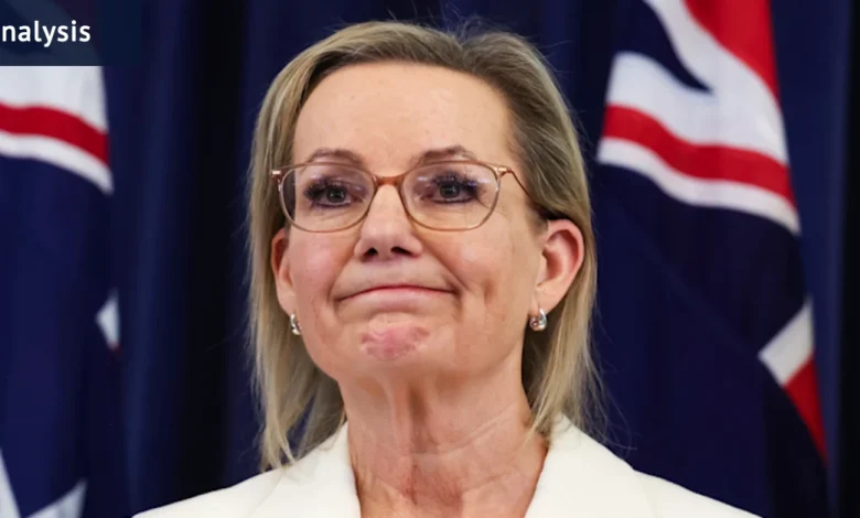 Liberal Party net zero policy: Sussan Ley showed up with a steely tone and strong message, but forgot one group