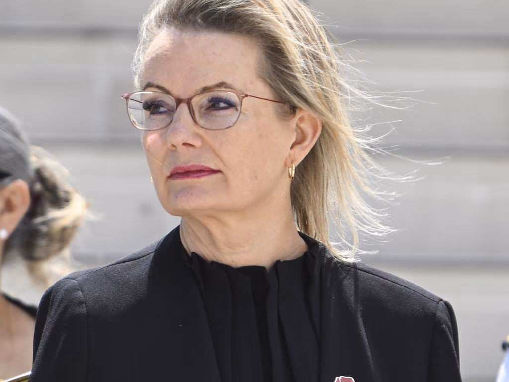 Libs have no choice but to bite bullet on net zero