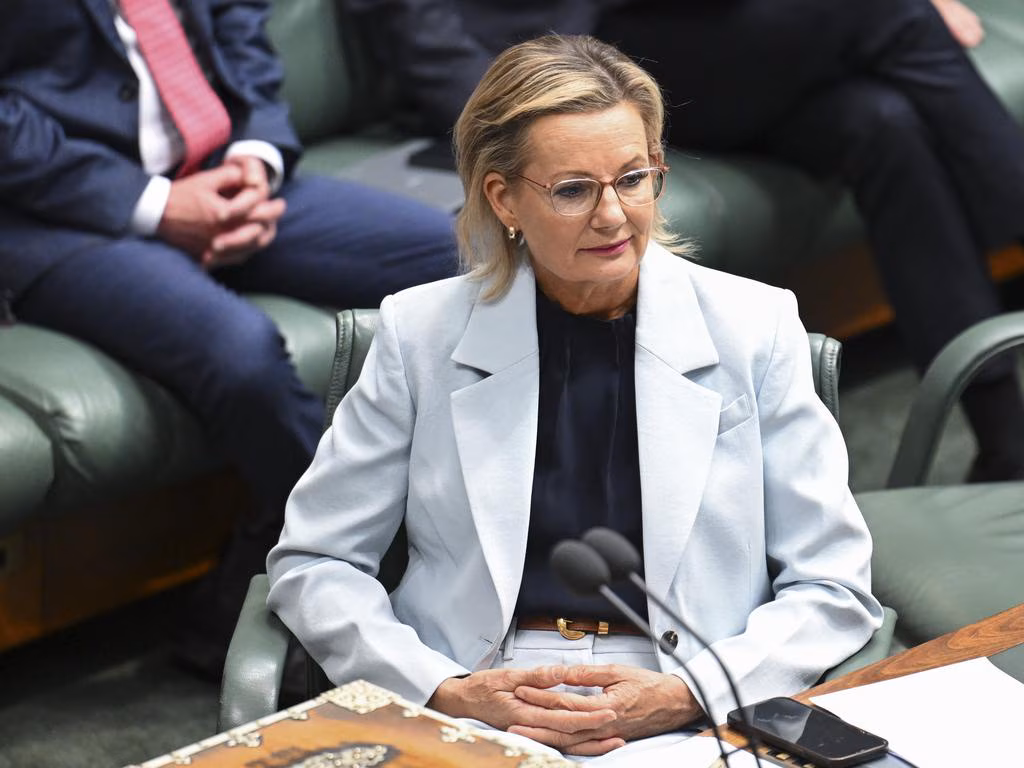 Libs risk act of folly and self-harm on net-zero