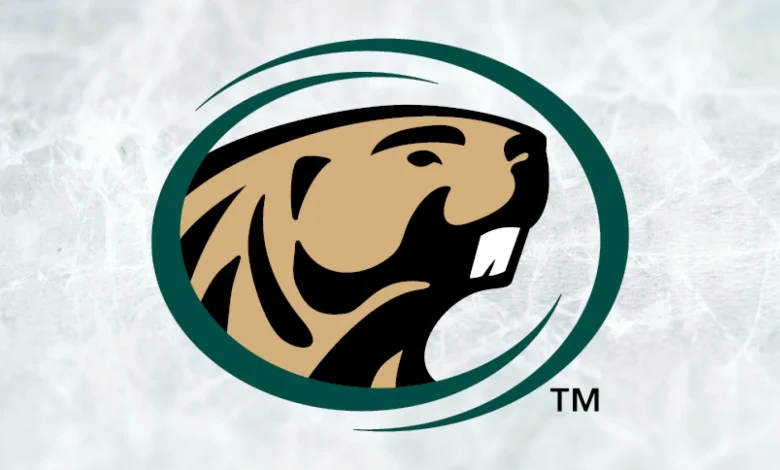 Lindenwood starts fast, pulls away to beat Bemidji State