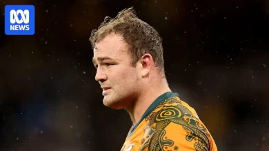 Live: Wallabies meet England amidst accusations of illegal tactics