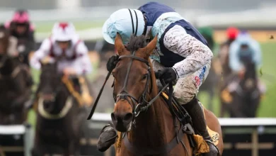 Live racing blog: Trackside Live updates from Betfair Chase day at Haydock Park