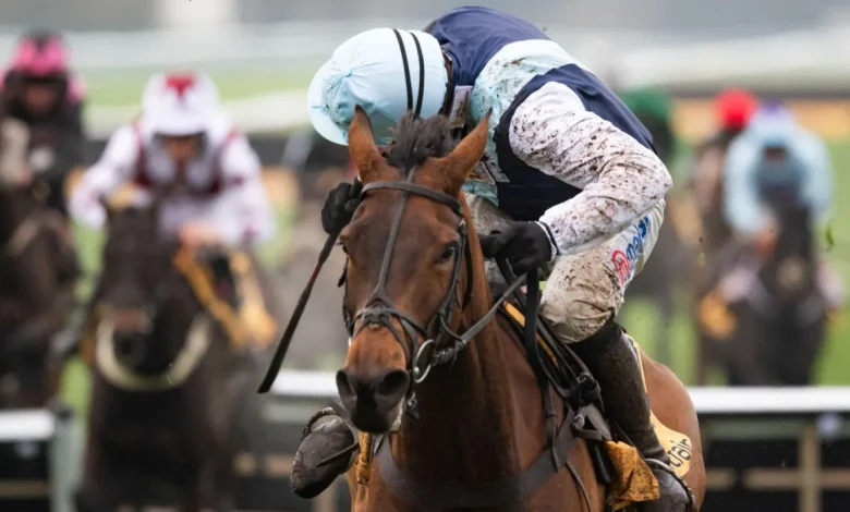 Live racing blog: Trackside Live updates from Betfair Chase day at Haydock Park