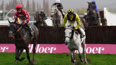 Live racing blog: Trackside Live updates from the November Meeting at Cheltenham