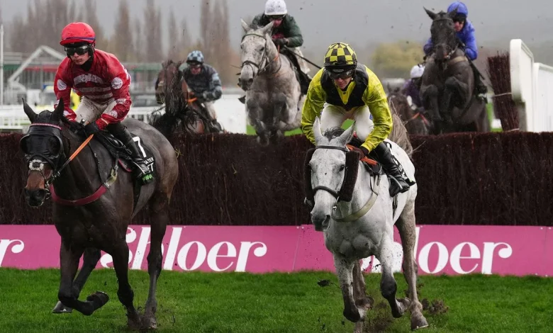 Live racing blog: Trackside Live updates from the November Meeting at Cheltenham