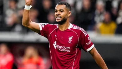 Liverpool Predicted Lineup vs. PSV Eindhoven: Gakpo Primed to Haunt Former Club