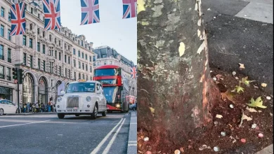 London Streets Painted Red By Paan, UK Council Battles Rs 35 Lakh Spit Crisis