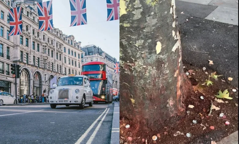 London Streets Painted Red By Paan, UK Council Battles Rs 35 Lakh Spit Crisis