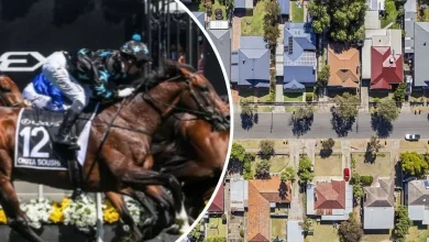 Long odds on Cup Day interest rate cut as RBA board meets