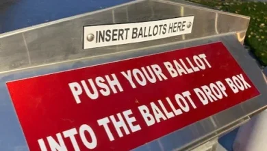 Look up 2025 election results at each of Utah's county clerk offices