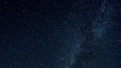 Look up, stargazers. Fireballs expected to shoot across the sky tonight.