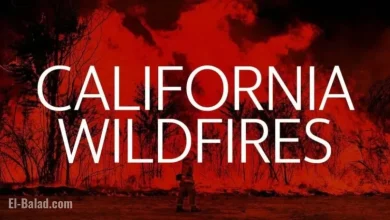 Los Angeles County Battles New Wildfire Outbreak on November 13