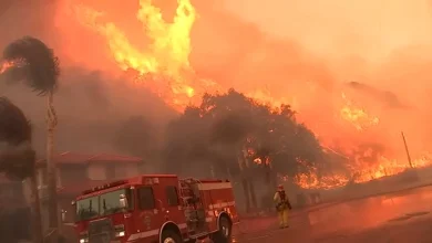 Los Angeles County launches State Farm probe after Eaton and Palisades fires