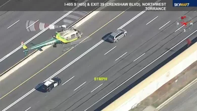 Los Angeles police chases: Police chasing driver in reported stolen minivan on 405 Freeway