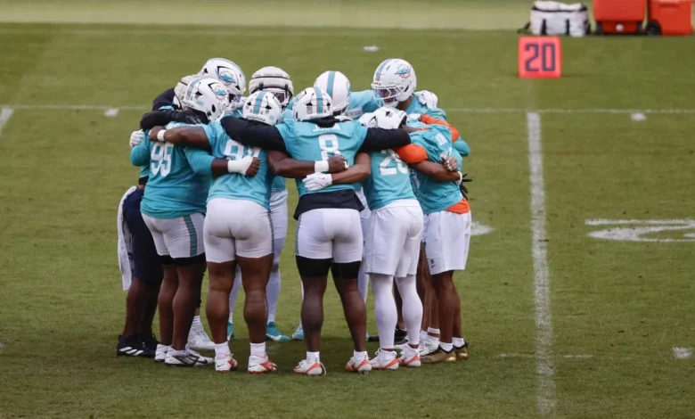 Los Miami Dolphins ya conocen el Metropolitano