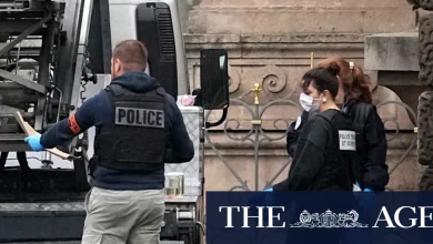 Louvre heist the work of petty criminals, not professional organised crime: prosecutor