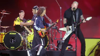 Lucky teen avoids arrest for bringing knife to Metallica gig